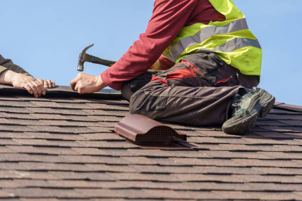 Best Roof Gutter Cleaning  in South Les, AK