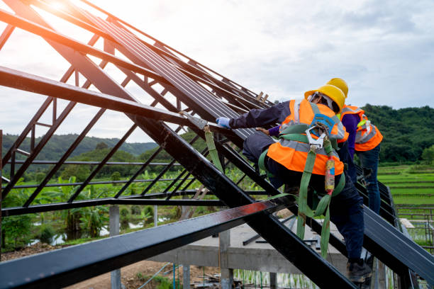 Roof Gutter Cleaning in South Lakes, AK