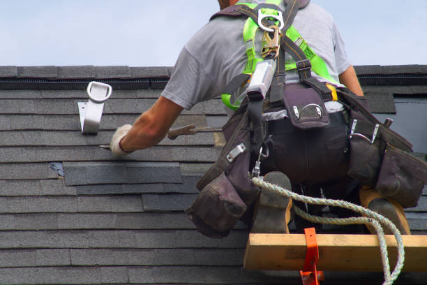Best Roof Leak Repair  in South Les, AK