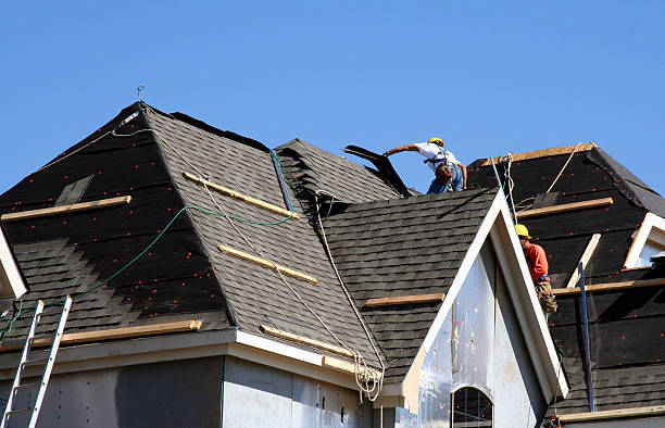 Best Storm Damage Roof Repair  in South Les, AK