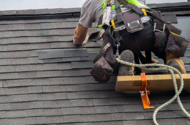 Best Roof Maintenance Services  in South Les, AK