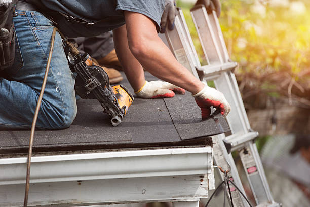 Best Sealant for Roof  in South Les, AK