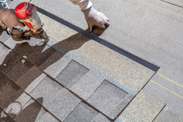 Best Gutter Installation and Roofing  in South Les, AK