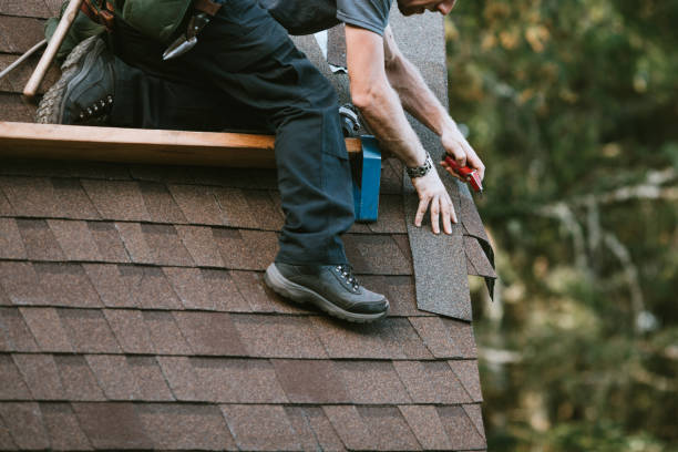 Best Flat Roof Repair Services  in South Les, AK