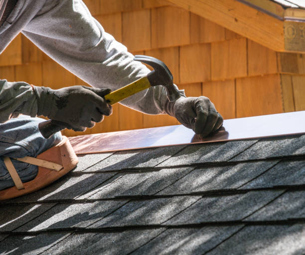 Best Roof Restoration Services  in South Les, AK